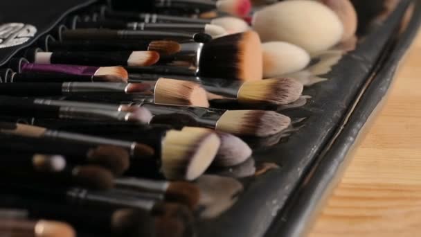 Make-up borstar samling — Stockvideo