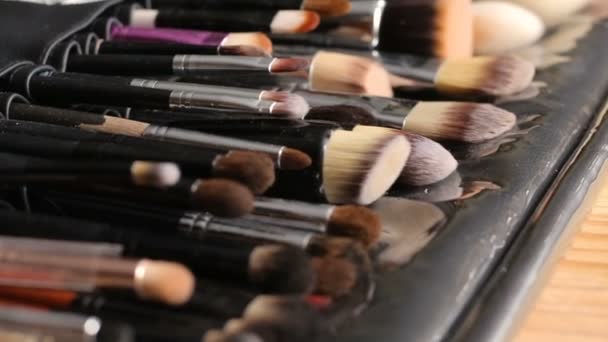 Coleção de pincéis de maquiagem — Vídeo de Stock