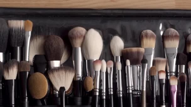 Set di pennelli per trucco professionale — Video Stock