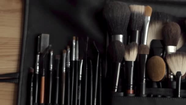 Makeup brushes set for professional makeup artist — Stock Video
