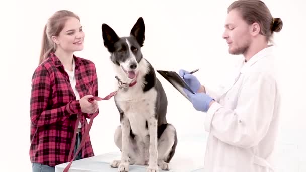 Het maken van aantekeningen in medische kaart van hond dierenarts — Stockvideo