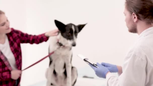 Tierarzt macht Notizen in Gesundheitskarte des Hundes — Stockvideo