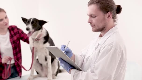 Veterinär att göra anteckningar i medicinskt kort för hund — Stockvideo