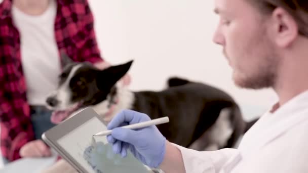 Dokter hewan membuat catatan di kartu medis anjing — Stok Video