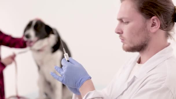 Κτηνίατρος κάνει ένεση στο σκυλί — Αρχείο Βίντεο
