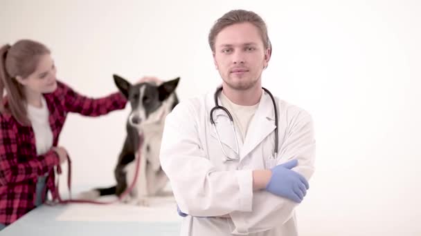 Cão bonito no veterinário depois de receber um check-up — Vídeo de Stock