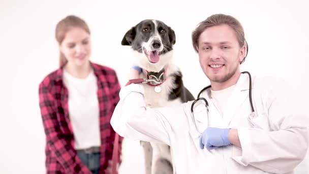 Schattige hond bij de dierenarts na het krijgen van een checkup — Stockvideo