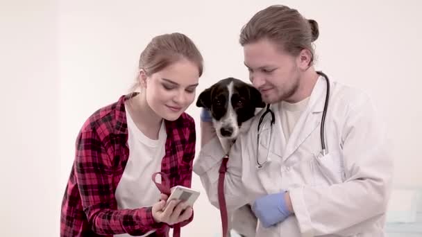 Lindo perro en el veterinario después de hacerse un chequeo — Vídeos de Stock