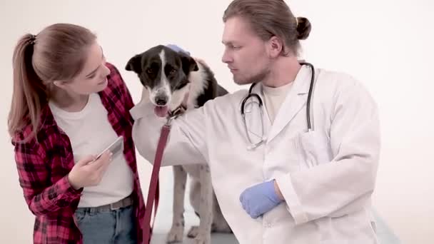 Roztomilý pejsek u veterináře poté, co se na vyšetření — Stock video