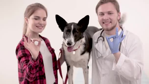 Cão bonito no veterinário depois de receber um check-up — Vídeo de Stock