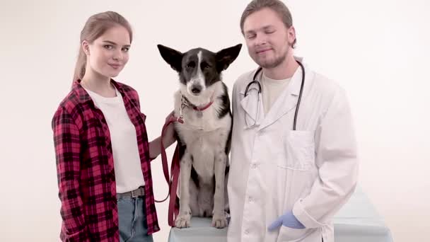 Симпатичная собака у ветеринара после осмотра — стоковое видео
