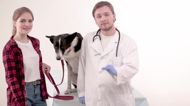 Cute dog at the vet after getting a checkup — Stock Video