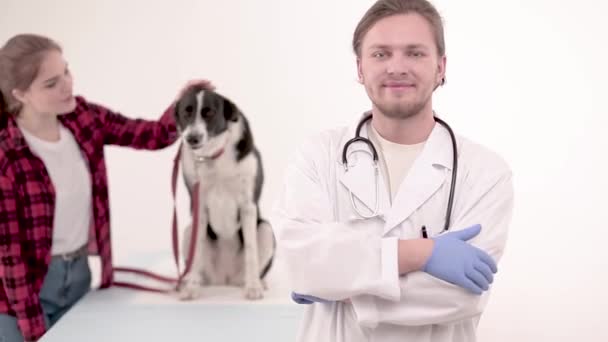 Lindo perro en el veterinario después de hacerse un chequeo — Vídeos de Stock