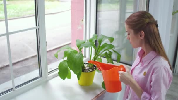 Filmación de una joven mujer bonita regando flores . — Vídeos de Stock