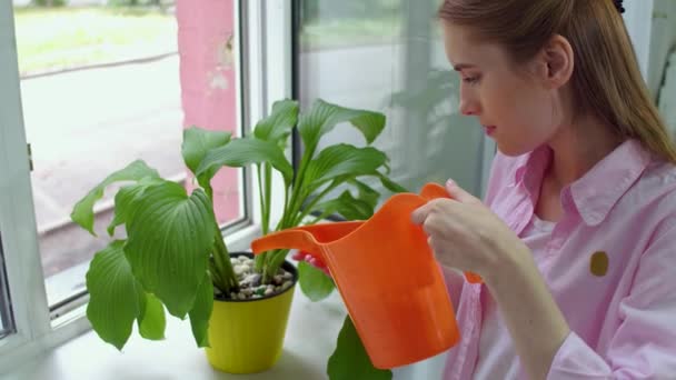 Jovencita cuidando plantas . — Vídeos de Stock