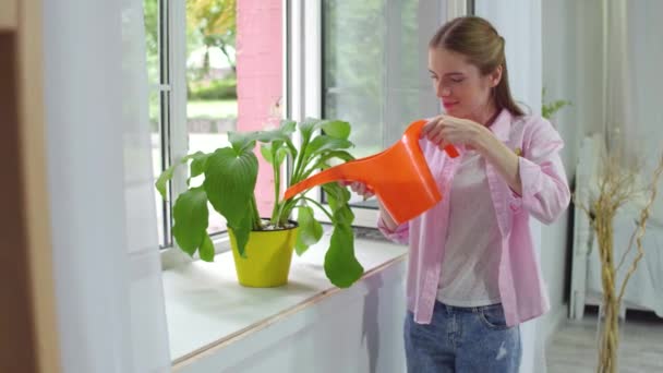 Mädchen gießt Pflanze mit Wasserkanne. — Stockvideo