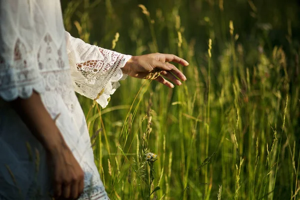 Ruka ženy dotkne vysoké trávy. — Stock fotografie