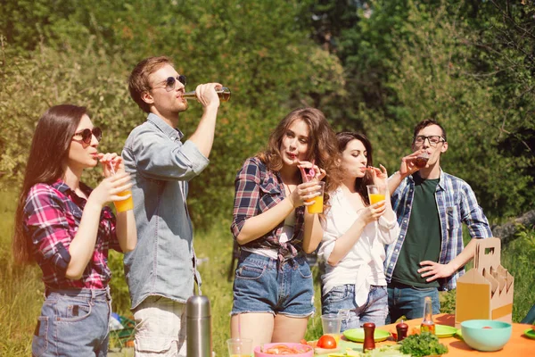 Grupa przyjaciół organizujących piknik w parku. — Zdjęcie stockowe