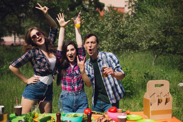 Grupo de amigos fazendo piquenique no parque. — Fotografia de Stock