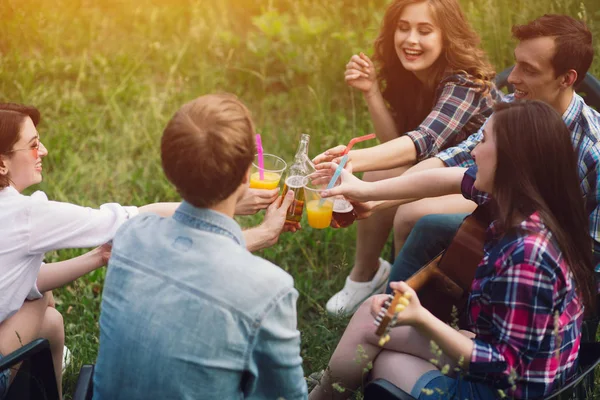 Grupa przyjaciół organizujących piknik w parku. — Zdjęcie stockowe