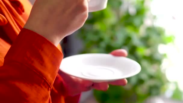 Woman holding tea cup with plate in her hands. — Stock Video