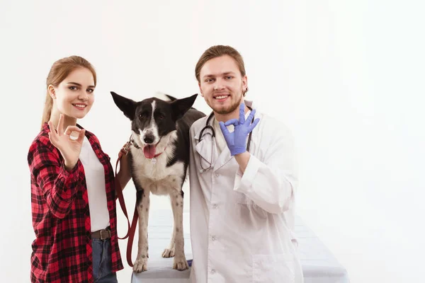 Hund får kontrolleras på veterinären med sin ägare. — Stockfoto