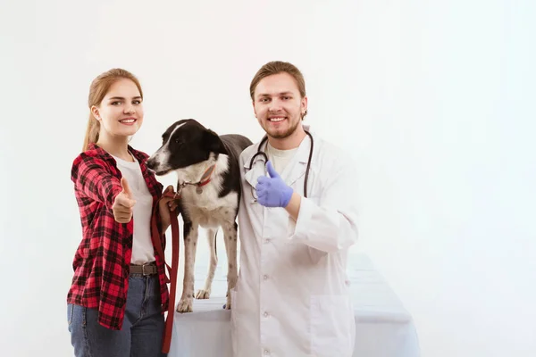 Hund får kontrolleras på veterinären med sin ägare. — Stockfoto