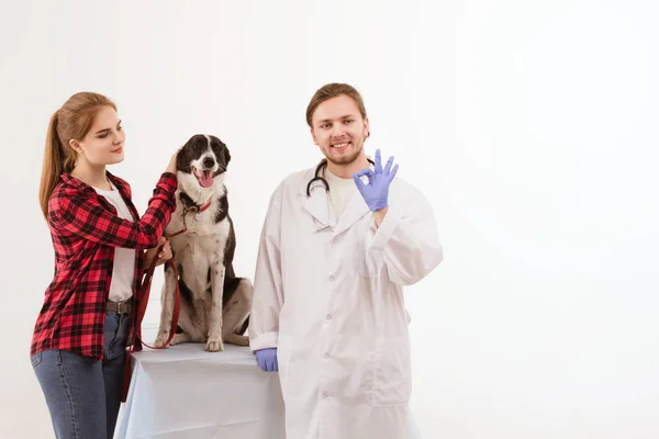 Cão sendo verificado no veterinário com seu proprietário . — Fotografia de Stock