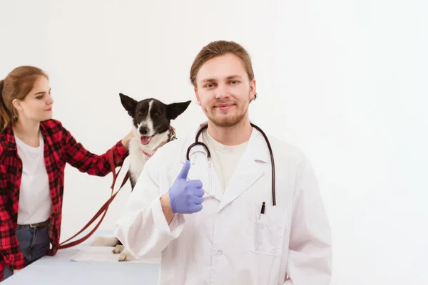 犬の飼い主と獣医にチェックを取得. — ストック写真