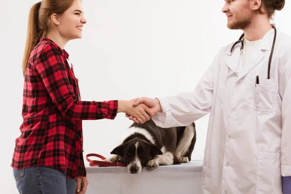 Owner of dog shaking hands with veterinarian.