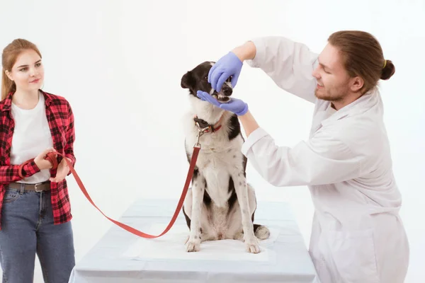 Hund får kontrolleras på veterinärkliniken med thir ägare. — Stockfoto