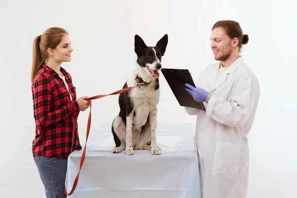 Cão sendo verificado na clínica veterinária com thir proprietário . — Fotografia de Stock