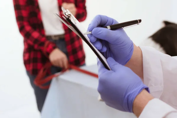 Veterinaria sosteniendo portapapeles consiguiendo perro revisado . — Foto de Stock