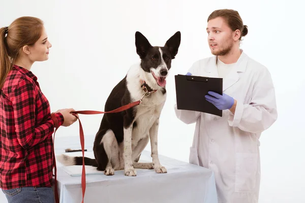 Cão sendo verificado na clínica veterinária com thir proprietário . — Fotografia de Stock