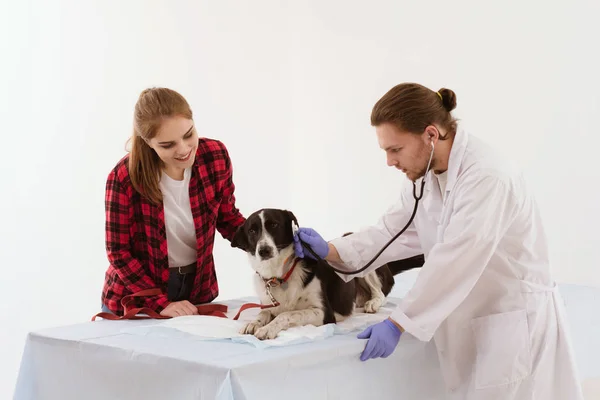 Hund får kontrolleras på veterinärkliniken med thir ägare. — Stockfoto