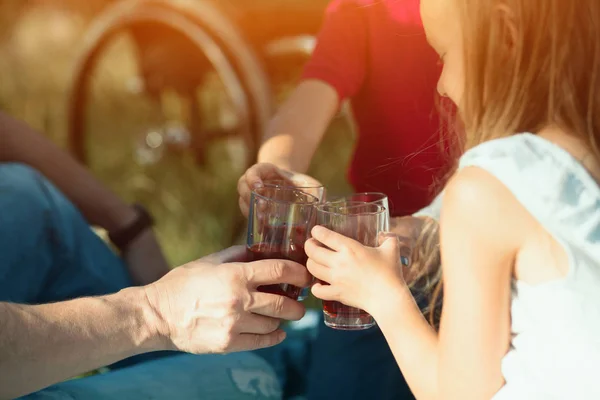 Családi piknik a parkban. Kerekesszékkel a háttérben — Stock Fotó