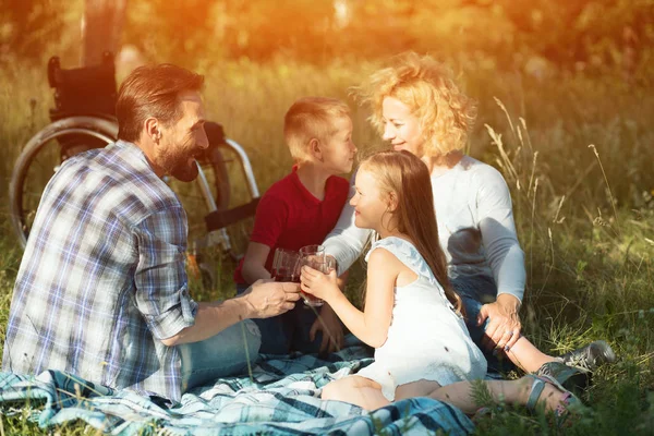 Familia en el picnic en el parque. Silla de ruedas en el fondo — Foto de Stock