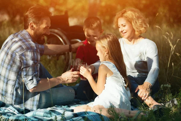 Famiglia al picnic nel parco. Sedia a rotelle sullo sfondo — Foto Stock