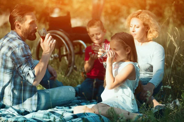 Családi piknik a parkban. Kerekesszékkel a háttérben — Stock Fotó