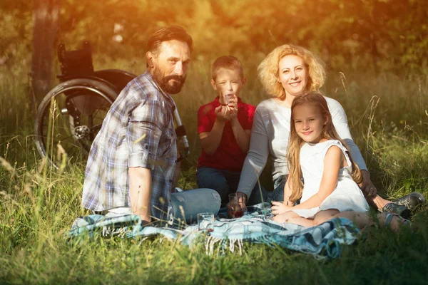 Mutlu bir aile aile portre park yapma. Belden aşağısı felçli — Stok fotoğraf