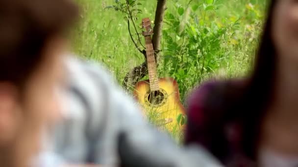 Vrienden hebben een barbecue party in de natuur — Stockvideo