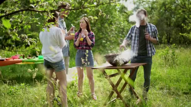 Amis ayant un barbecue dans la nature — Video