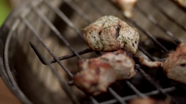 Grelha moderna com carne ao ar livre — Vídeo de Stock