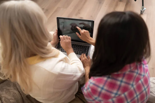 Vrouwen werken met de laptop. Close-up — Stockfoto