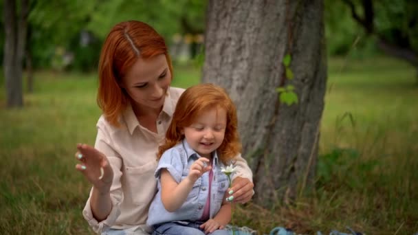 Madre y pequeña hija decir fortuna en la margarita — Vídeo de stock