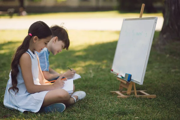 Onderwijs in de natuur — Stockfoto