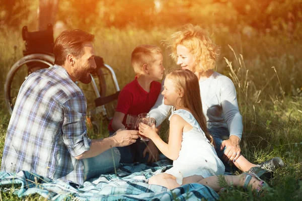 Családi piknik a parkban. Kerekesszékkel a háttérben — Stock Fotó