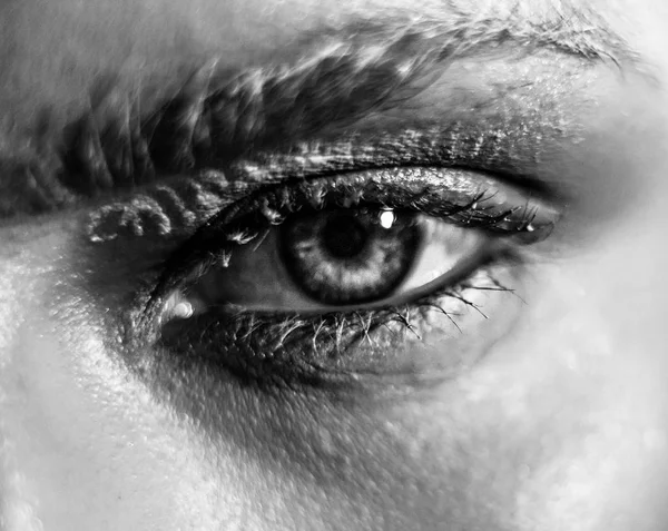 Foto av vacker ung kvinna med magnifika ögonfransar. — Stockfoto