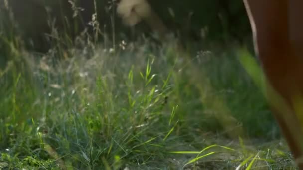 Flicka i solglasögon och stora gula hörlurar lyssnar på musik — Stockvideo