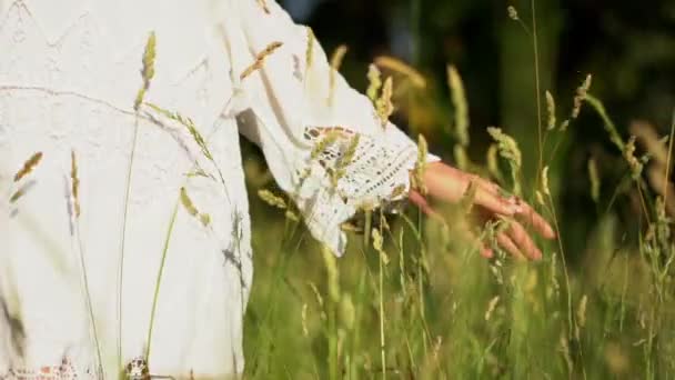 Zbliżenie ręki womans uruchomiona przez pole pszenicy — Wideo stockowe